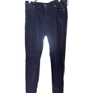 Citizens of Humanity navy velvet jean, EUC, sz 32, high rise skinny, classic